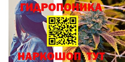 спиды Берёзовский