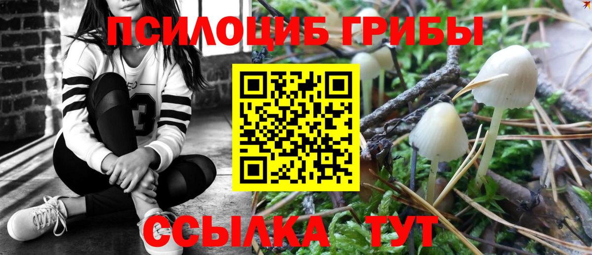 Галлюциногенные грибы мухоморы Ейск