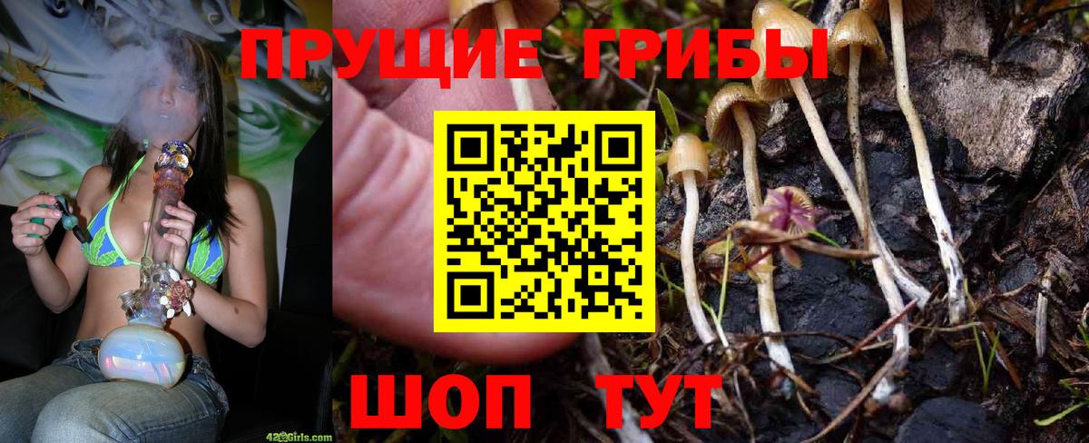 Псилоцибиновые грибы GOLDEN TEACHER Ейск